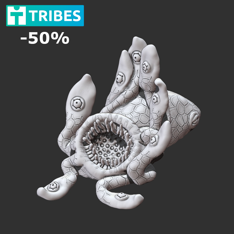 Black Sea Coral Squid